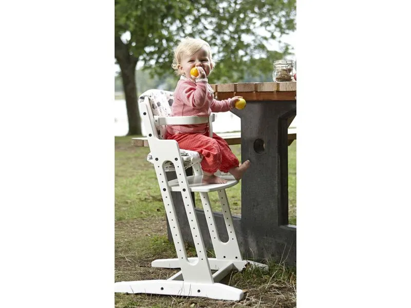 BabyDan Danstolen syöttötuoli + turvakaari